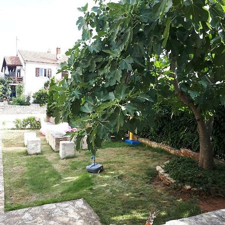Studio Apartman Splash Pjescana Uvala Dış mekan fotoğraf