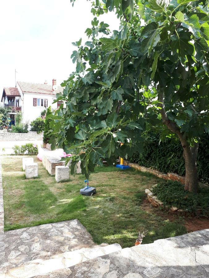 Studio Apartman Splash Pjescana Uvala Dış mekan fotoğraf